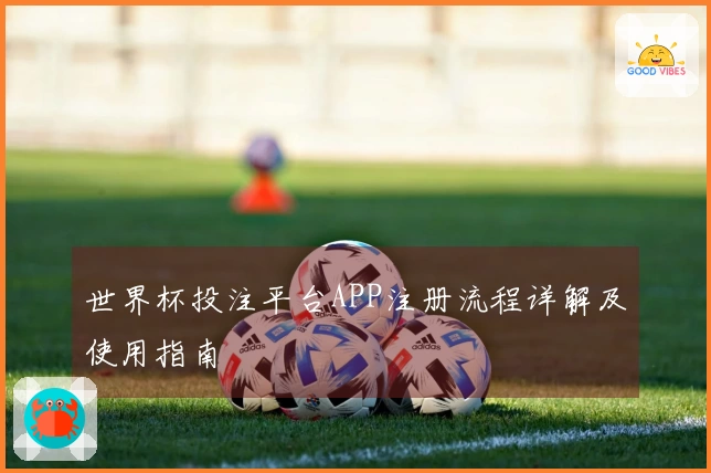 世界杯投注平台APP注册流程详解及使用指南