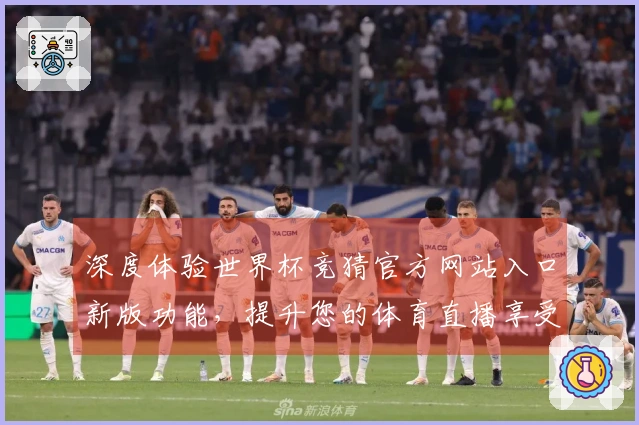 深度体验世界杯竞猜官方网站入口新版功能，提升您的体育直播享受！