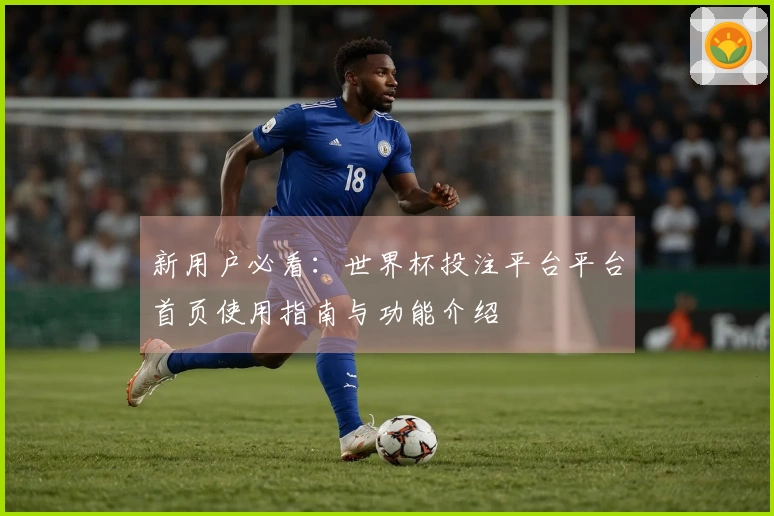 新用户必看：世界杯投注平台平台首页使用指南与功能介绍