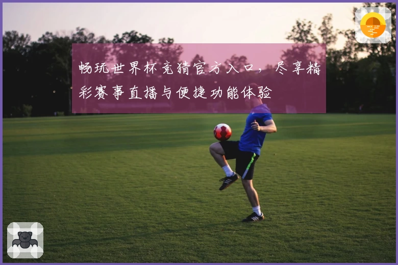 畅玩世界杯竞猜官方入口，尽享精彩赛事直播与便捷功能体验