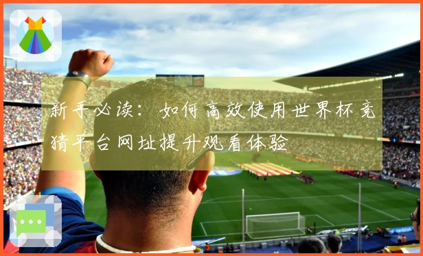新手必读：如何高效使用世界杯竞猜平台网址提升观看体验