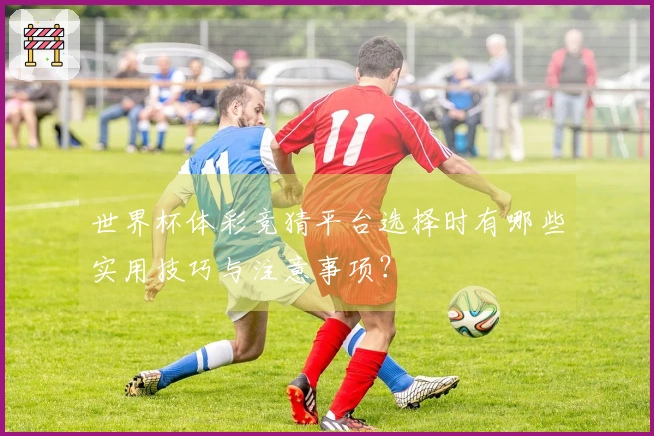 世界杯体彩竞猜平台选择时有哪些实用技巧与注意事项？