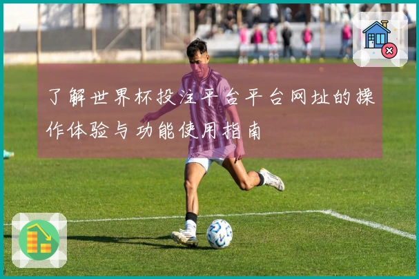 了解世界杯投注平台平台网址的操作体验与功能使用指南