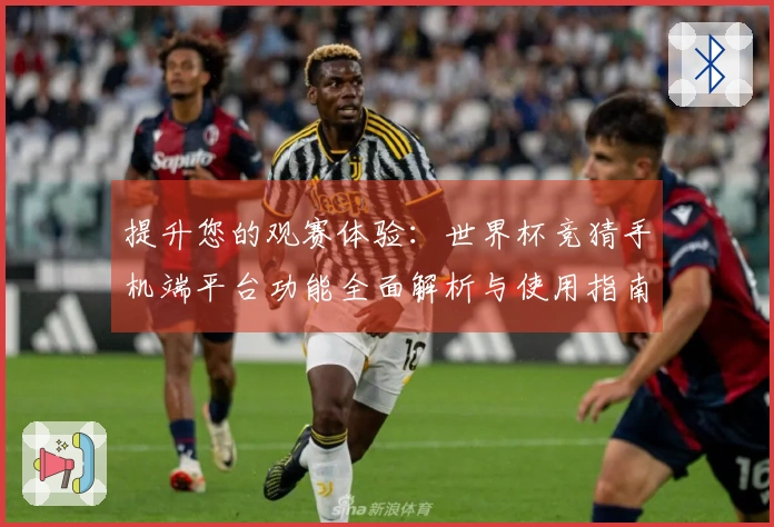 提升您的观赛体验：世界杯竞猜手机端平台功能全面解析与使用指南