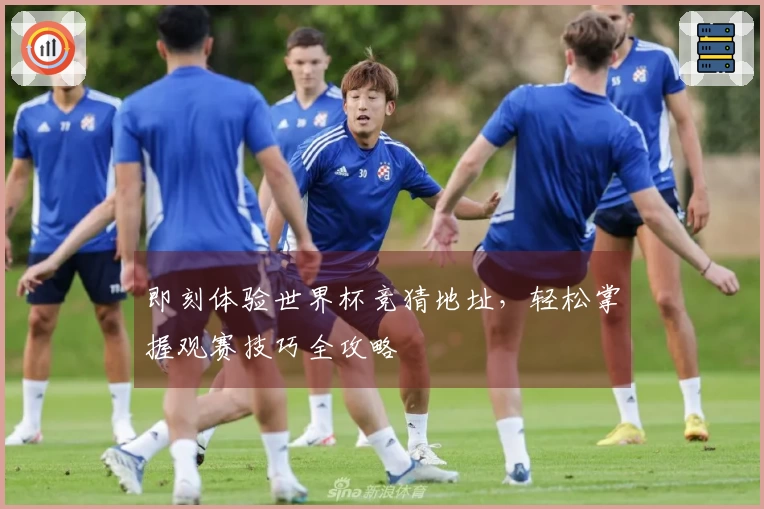 即刻体验世界杯竞猜地址,轻松掌握观赛技巧全攻略