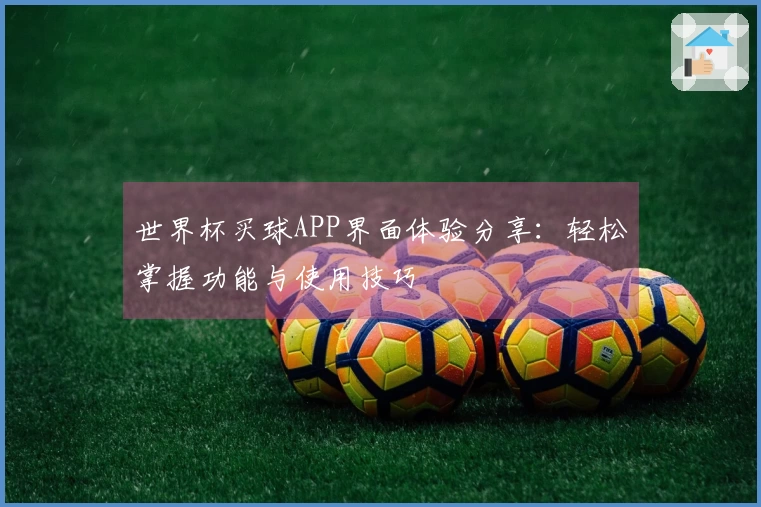 世界杯买球APP界面体验分享:轻松掌握功能与使用技巧