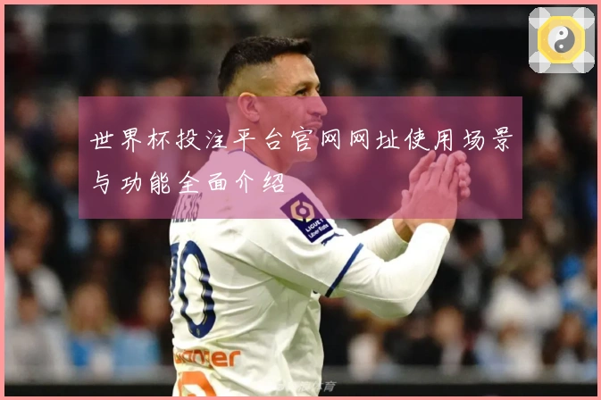 世界杯投注平台官网网址使用场景与功能全面介绍