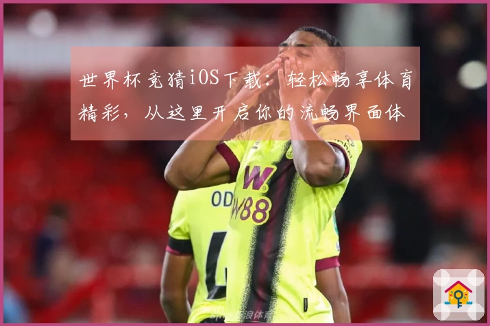 世界杯竞猜iOS下载：轻松畅享体育精彩，从这里开启你的流畅界面体验