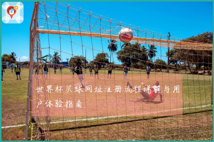世界杯买球网址注册流程详解与用户体验指南