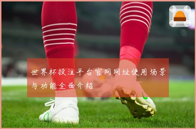 世界杯投注平台官网网址使用场景与功能全面介绍