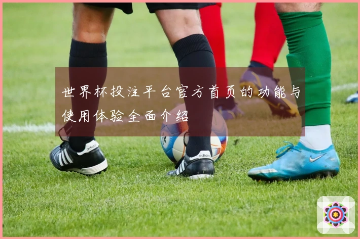 世界杯投注平台官方首页的功能与使用体验全面介绍