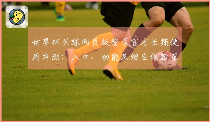 世界杯买球网页版登录官方长期使用评测：入口、功能及综合体验深度解析